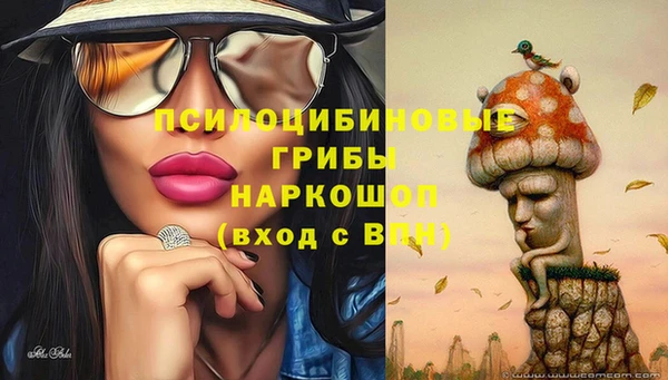 трава Нефтекумск
