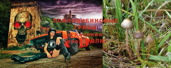 крисы Нея